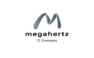 Megahertz 195x120 px